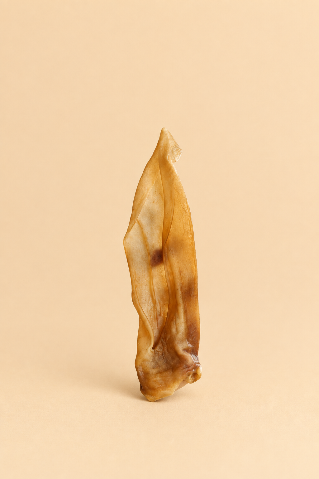 Oreille de chèvre