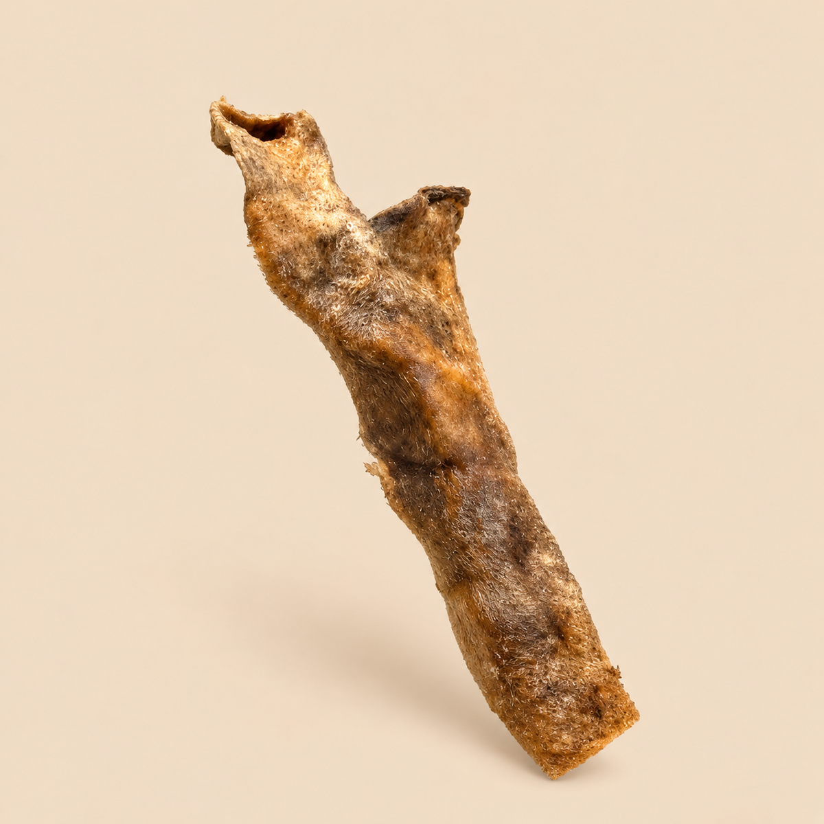 Peau de sanglier 15 cm
